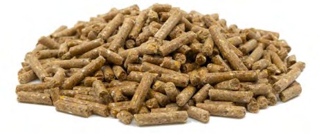 erganzer pellet.jpg