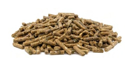 gastro balance pellet.jpg