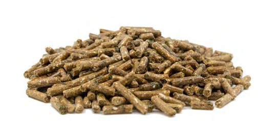 gastro balance pellet.jpg