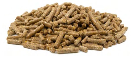 kompakt pellet.jpg